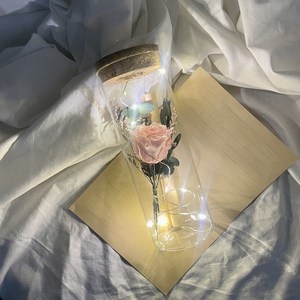 [프렌치로즈]시들지않는꽃 LED유리병 편지지 세트, 핑크프리저브드플라워
