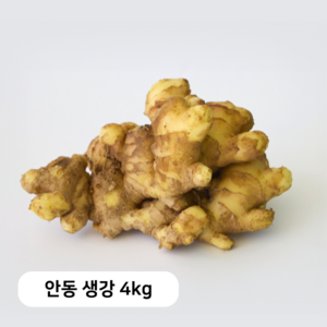 [안동농협] 24년 국내산 안동 흙생강, 1개, 4kg