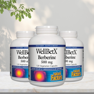 네추럴팩터스 웰벳X 베르베린 1000mg 베지테리안 캡슐, 120정, 3개