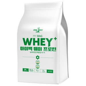 원데이뉴트리션 녹차맛_단백질 쉐이크 헬스 보충제 포대유청 웨이프로틴 WPC