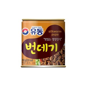 유동 번데기, 280g, 4개