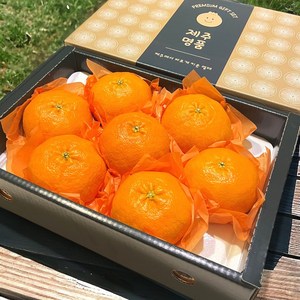 [최상급보장] 레드향 가정용 선물용 선물세트, 1개, 선물용 3kg