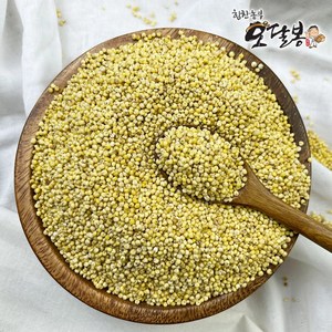힘찬농부오달봉 국산 찰기장, 1개, 1kg