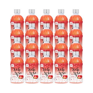 웰그린 스위츠 자두녹차 340ml, 20개