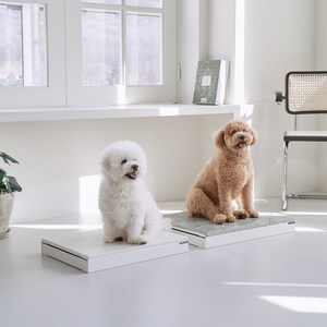 [썸머스톤] 시원한 대리석 쿨매트 천연석 대리석 철제프레임 세트 투인플레이스, [천연석 세트], M/그린그레이, 화이트