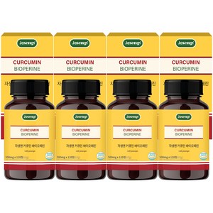 자생 커큐민 앤 바이오페린, 120정, 4개