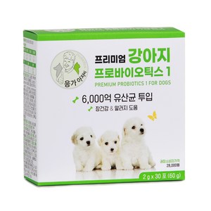 6000억 프리미엄 강아지 프로바이오틱스1 2g 30포 장건강, 30회분, 장건강/유산균, 1개