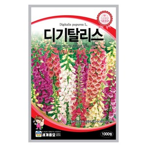 모칸도 (무배)세계 디기탈리스 꽃씨 1000립, 1개