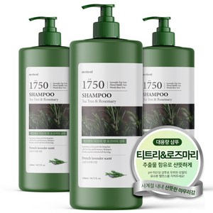 메르헨트 티트리 앤 로즈마리 대용량 샴푸 1500ml x 3개 프렌치라벤더향 약산성 퍼퓸 향기좋은 청소년 미용실 지성 건성 두피, 1.5L