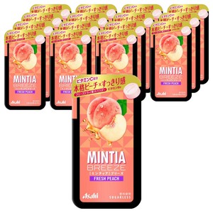 Asahi 민티아 브리즈 프레시 피치
