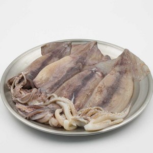 원양산 손질 통오징어 배오징어 생물 냉동, 손질통오징어 2미(320g) 5팩