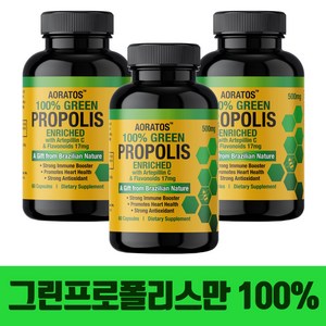 브라질 그린 프로폴리스 100% 가루 캡슐 2+1 플라보노이드 녹색 초록 효능 추천 직구 어버이날 부모님 수험생 선물 면역력 항산화, 3개, 60캡슐, 60정