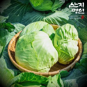 [산지명인] 국산 무안 황토 통양배추, 3kg, 1박스