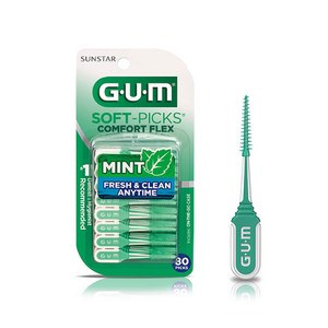 GUM 검 치과 부드러운 일회용 치간칫솔 코스트코 소프트픽 민트 컴포트플렉스(80p) 1개, 1개입