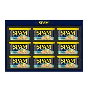 CJ 스팸 라이트 8호 선물세트 쇼핑백 포함 추석 설날 사무실 햄 선물 세트 직원 단체 명절 구정