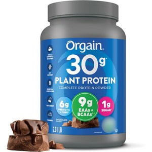 올게인 플랜트 프로틴 초콜릿 맛