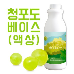 쉘몬 과일 농축액 액상타입 베이스 청포도 1kg/시럽/원액/에이드, 1kg, 1개