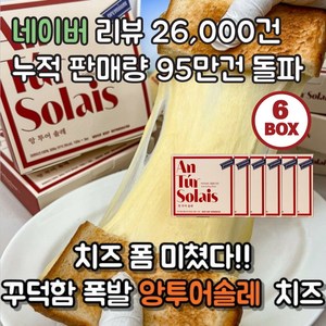 [본사발송] 앙투어솔레 아일랜드 100% 자연치즈 구워먹는 치즈 300g(100g x 3팩), 300g, 6개