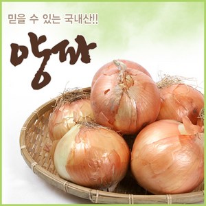 아빠의 마음 국내산 양파 3kg 5kg 10kg, 3kg(상품), 1개