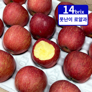 [가격파괴] 못난이 사과 5KG 초특가, 5kg(14-21과내외), 1개