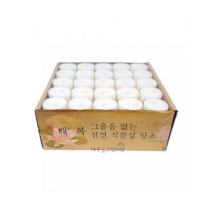 티라이트초 100개 (4시간연소) 천연식물성팜초 기도초 법당초 양초 불교용품 무속용품