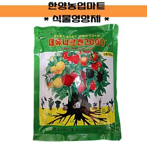 대유 나르겐, 1개, 500g