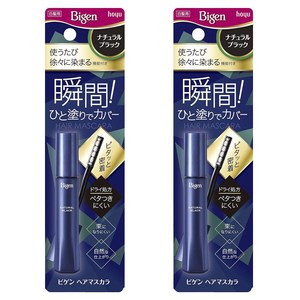 호유 비겐 헤어 마스카라 15ml, 내추럴블랙, 2개