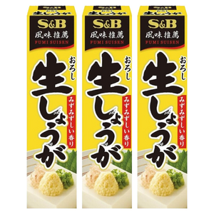 에스앤비 갈아서 넣은 생 생강, 40g, 3개