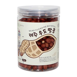 지구마을 제주 우도 볶은땅콩, 300g, 1개