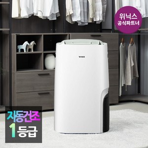 [본사인증점] 위닉스 뽀송 제습기 12리터 25년형 l 17리터 1등급 l 옵션확인필수, DXSE170-NGK(17리터)
