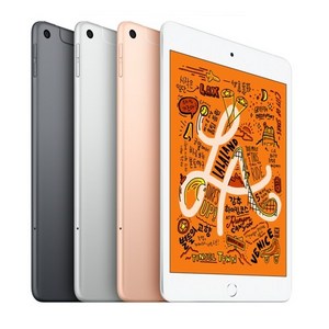 Apple iPad mini 5세대, 스페이스 그레이, 64GB, Wi-Fi