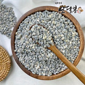 힘찬농부 국산 청보리 녹색보리 청맥, 1개, 500g