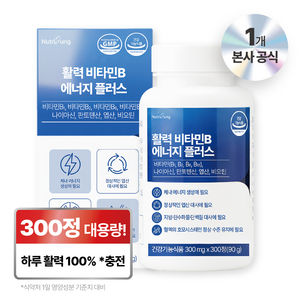 뉴트리정 활력 비타민B 에너지 플러스 대용량, 300정, 1개
