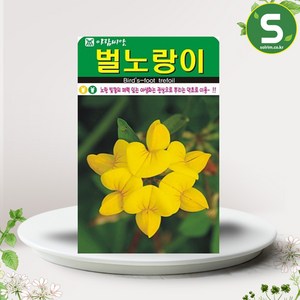 솔림텃밭몰 벌노랑이씨앗 1000립 벌노랑이 꽃씨앗 꽃씨 야생화, 1개