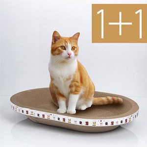 미란다 고양이 NEW 벌러덩 타원형 스크래쳐, 혼합, 2개