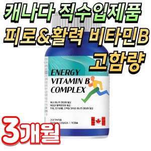 미미 고려은단 메가도스 비타민b 8종 고함량 복합체 VITAMIN B COMPLEX, 1개, 90정