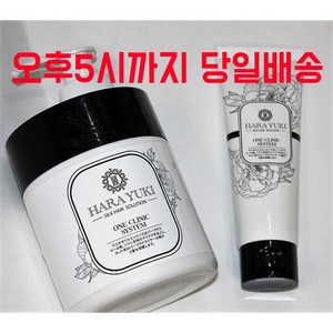 하라유키 원크리닉 시스템 100g, 1개, 500ml