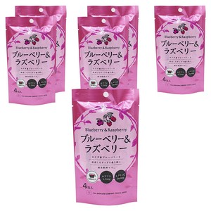 Fuji Foods 블루베리 & 라즈베리 4개입