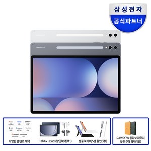 삼성전자 갤럭시탭 S10 플러스 256GB/512GB, Wi-Fi, 256GB, 문스톤 그레이