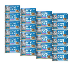 동원뉴트리플랜 고양이 간식 습식캔, 혼합맛(참치/통새우..., 160g, 24개