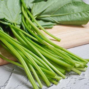 [미식한가] 해남 생 고구마순 싱싱한 생고구마줄기, 1개, 3kg