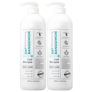 닥터방기원 쿨 샴푸 블루모히또향, 1L, 2개