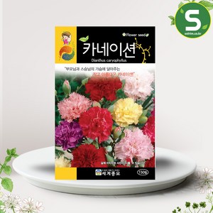 솔림텃밭몰 카네이션씨앗 150립 카네이션 꽃씨앗 혼합종, 1개