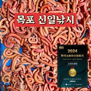 목포 신일낚시/국산 참갯지렁이/홍거시/혼무시/집거시/청거시, S사이즈 찌낚시용 혼무시 100g(25~30마리), 1개