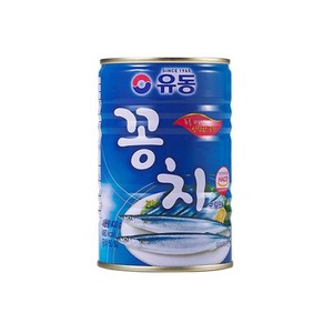 [유동] 꽁치, 400g, 24개