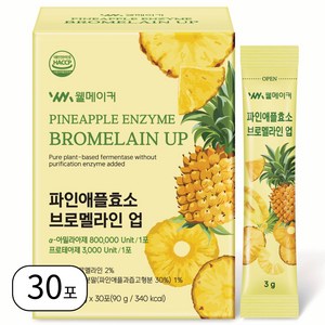 웰메이커 80만 고역가 파인앤플 효소 브로멜라인 업 단백질 분해효소, 1개, 90g