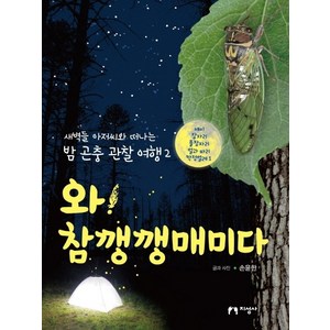 와! 참깽깽매미다:매미 잠자리 풀잠자리 벌과 파리 딱정벌레 1, 지성사