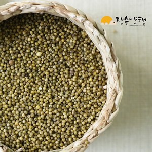 장수양행 차조 700g, 1개