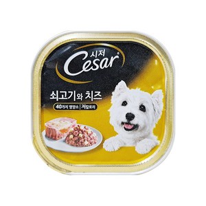 시저 애견간식 캔, 쇠고기와 치즈 (1세 이상), 100g, 10개