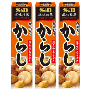 에스앤비 일본식 연겨자, 43g, 3개